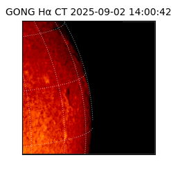 gong - 2025-09-02T14:00:42