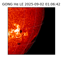 gong - 2025-09-02T01:06:42