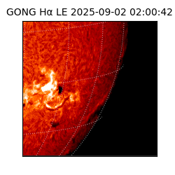 gong - 2025-09-02T02:00:42