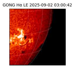 gong - 2025-09-02T03:00:42