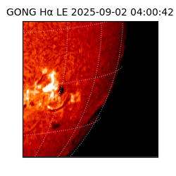 gong - 2025-09-02T04:00:42