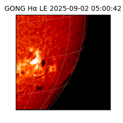 gong - 2025-09-02T05:00:42