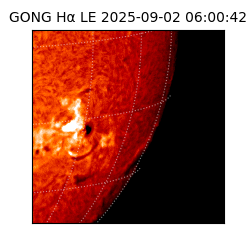 gong - 2025-09-02T06:00:42