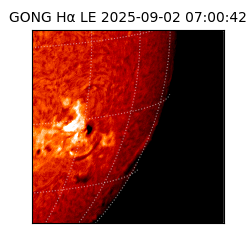 gong - 2025-09-02T07:00:42