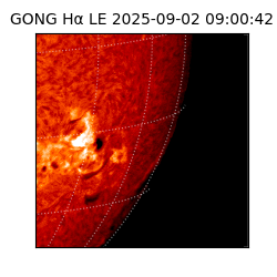 gong - 2025-09-02T09:00:42