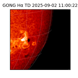 gong - 2025-09-02T11:00:22