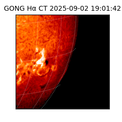 gong - 2025-09-02T19:01:42