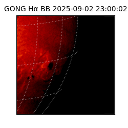 gong - 2025-09-02T23:00:02