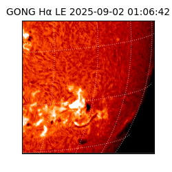 gong - 2025-09-02T01:06:42