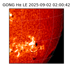 gong - 2025-09-02T02:00:42