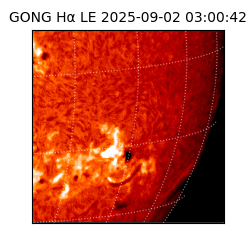 gong - 2025-09-02T03:00:42