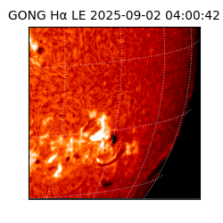 gong - 2025-09-02T04:00:42