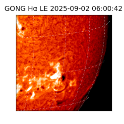 gong - 2025-09-02T06:00:42