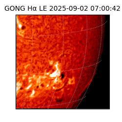 gong - 2025-09-02T07:00:42