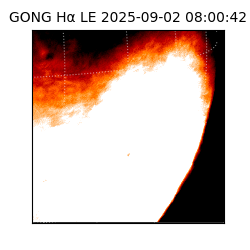 gong - 2025-09-02T08:00:42
