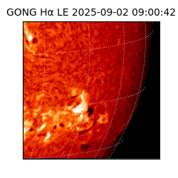 gong - 2025-09-02T09:00:42