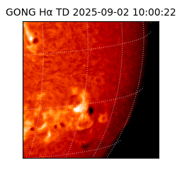 gong - 2025-09-02T10:00:22