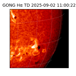 gong - 2025-09-02T11:00:22