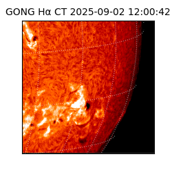 gong - 2025-09-02T12:00:42