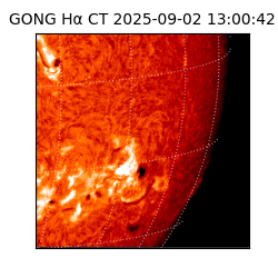 gong - 2025-09-02T13:00:42
