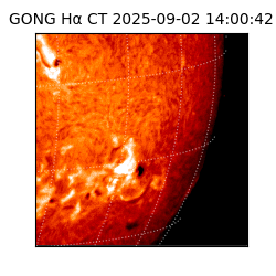 gong - 2025-09-02T14:00:42