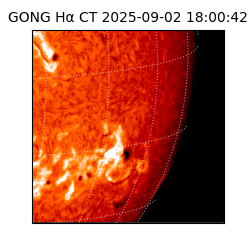 gong - 2025-09-02T18:00:42