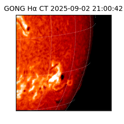 gong - 2025-09-02T21:00:42