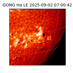 gong - 2025-09-02T07:00:42