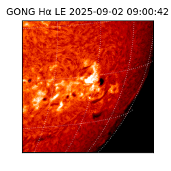 gong - 2025-09-02T09:00:42