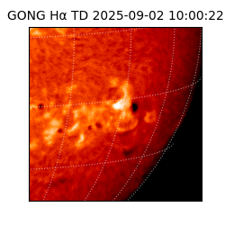 gong - 2025-09-02T10:00:22