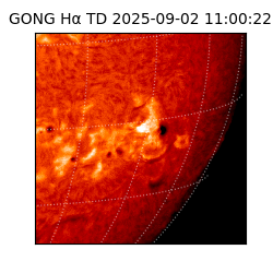 gong - 2025-09-02T11:00:22