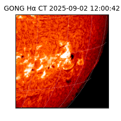 gong - 2025-09-02T12:00:42