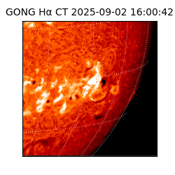 gong - 2025-09-02T16:00:42