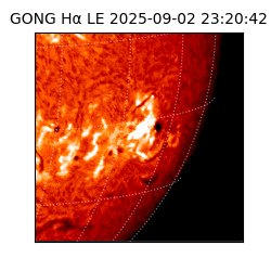 gong - 2025-09-02T23:20:42