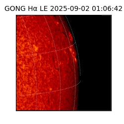 gong - 2025-09-02T01:06:42