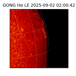gong - 2025-09-02T02:00:42
