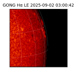 gong - 2025-09-02T03:00:42