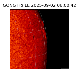 gong - 2025-09-02T06:00:42
