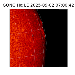 gong - 2025-09-02T07:00:42