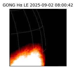 gong - 2025-09-02T08:00:42