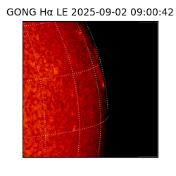 gong - 2025-09-02T09:00:42