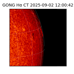 gong - 2025-09-02T12:00:42