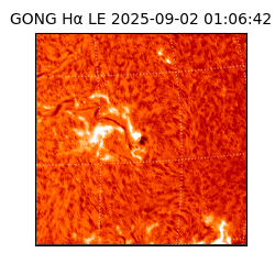 gong - 2025-09-02T01:06:42