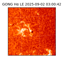 gong - 2025-09-02T03:00:42