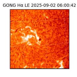 gong - 2025-09-02T06:00:42