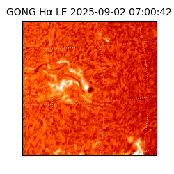 gong - 2025-09-02T07:00:42