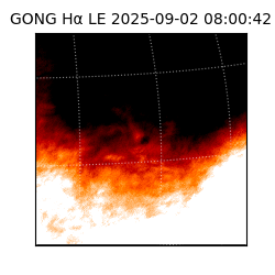 gong - 2025-09-02T08:00:42