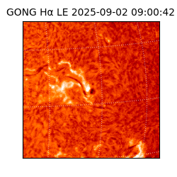 gong - 2025-09-02T09:00:42