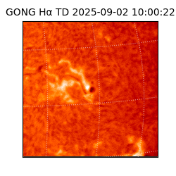 gong - 2025-09-02T10:00:22