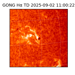 gong - 2025-09-02T11:00:22